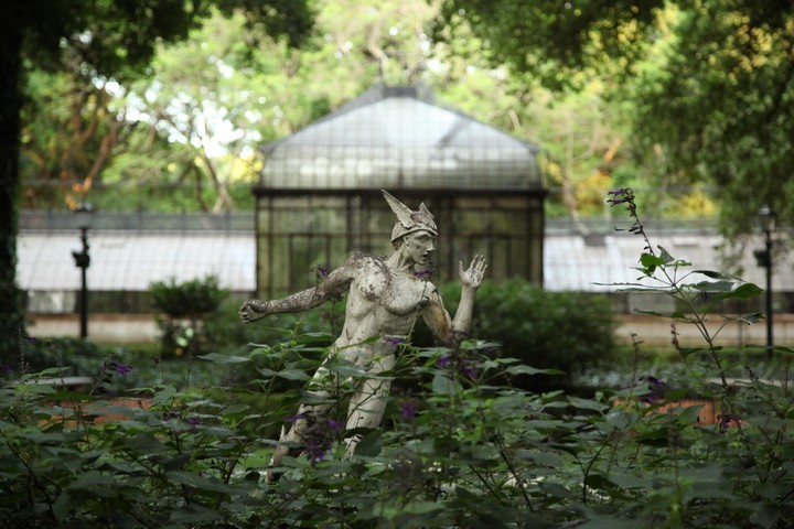 Jardín Botánico, Ciudad Autónoma de Buenos Aires. A metros del hotel Howard Johnson Buenos Aires Florida.